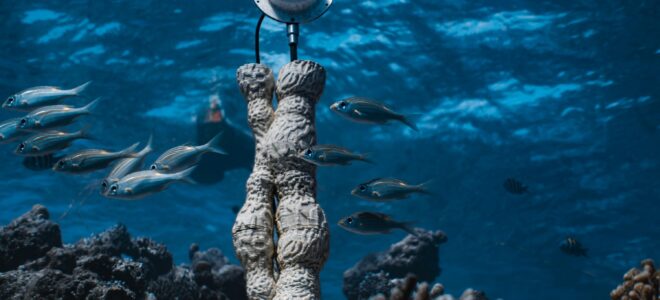 Coral Sonic Resilience: Sound and Sustainable Materials Revive Coral Reefs