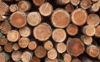 Mass Timber as a Climate Solution: A New Perspective
