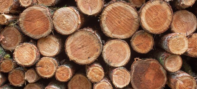 Mass Timber as a Climate Solution: A New Perspective