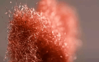 Metallic Fleece Enhances EV Battery Performance and Sustainability