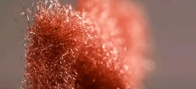 Metallic Fleece Enhances EV Battery Performance and Sustainability