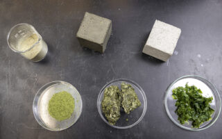 Seaweed-Based Concrete Offers a Greener Path for the Built Environment