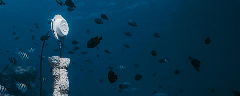 Coral Sonic Resilience: Sound and Sustainable Materials Revive Coral Reefs