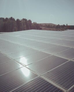 Researchers at @hongkongpolyu have achieved a record light utilisation efficiency (LUE) of 6.05% with semi-transparent organic photovoltaics (ST-OPVs). This milestone brings energy-generating windows a step closer to widespread use in architecture and product design.
Read more at MaterialDistrict.com
#MaterialInspiration #Materials #EnergyTransition #TransparentSolarCells #SmartWindows #BuildingIntegratedPV #SustainableArchitecture #MaterialInnovation #SolarDesign #EnergyEfficiency #CircularBuilding #GreenTechnology #FutureMaterials