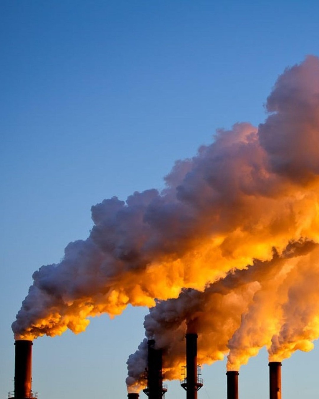 Researchers at the Vrije Universiteit Brussel (VUB), working with @Stanford, @uantwerpen and @universiteithasselt, have achieved an important step in the development of materials that convert sunlight and CO₂ into sustainable fuels. Their work shows that low-cost, non-toxic and widely available semiconductors can support this process in an efficient and stable way. This discovery opens new opportunities for designers who aim to work with energy-positive or climate-responsive materials.

Read more at MaterialDistrict.com

#MaterialInspiration #Materials #MaterialInnovation #SolarFuels #CO2Conversion #SustainableDesign #CircularMaterials #CleanEnergy #BioBasedFuture #DesignTechnology #EnergyPositiveDesign #GreenMaterials