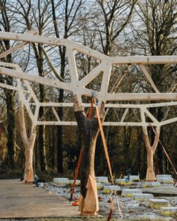 To close the year, we are highlighting the most read articles published on MaterialDistrict this year.

#7 The Tree and the Truss – rethinking timber construction

At number 7: the article on The Tree and the Truss, a pioneering timber structure developed at the @aaschool that explores new approaches to biobased, low-waste architecture.

The project challenges conventional timber construction by using natural bifurcations and branches—elements often considered unsuitable for structural use—as key load-bearing components. By working with the inherent geometry of beech trees, the structure maximises material efficiency while celebrating the expressive qualities of wood.

Combining traditional craftsmanship with digital and robotic fabrication, The Tree and the Truss demonstrates how irregular, locally sourced timber can be precisely integrated into advanced structural systems. Sourced directly from the surrounding forest, the project aligns with circular forestry practices and minimises transport and processing impacts.

A compelling case study showing how ecological sensitivity, material intelligence and fabrication innovation can come together in contemporary timber architecture.

👉 Read the full article on MaterialDistrict.com

#material #materials #materialinnovation #timberarchitecture #biobased #circulardesign #digitalfabrication #sustainablearchitecture #materialdistrict