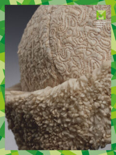 Material of the day: Recovered Cellulose Acetate 🚬♻️

Developed by @ooliviagino, this innovative textile is made from recycled cigarette filters, transforming one of the most common yet overlooked waste streams into a valuable material resource. After purification, the cellulose acetate fibres are processed into a soft, felt-like nonwoven with a distinctive texture.

Through a combination of felting and embroidery, the material achieves a balance between softness and structure, subtly revealing its unconventional origin. Recovered Cellulose Acetate demonstrates how post-consumer waste can be reintroduced into the textile industry through creative and circular design.

Read more at MaterialDistrict.com

👉 Discover this material and many more at MaterialDistrict Utrecht
📍 Werkspoorkathedraal, Utrecht
📅 4–6 March
🎟️ Get your ticket now via link in bio

#MaterialoftheDay #Material #RecoveredCelluloseAcetate #RecycledMaterials #TextileInnovation #CircularDesign #MaterialDistrict #MDUtrecht