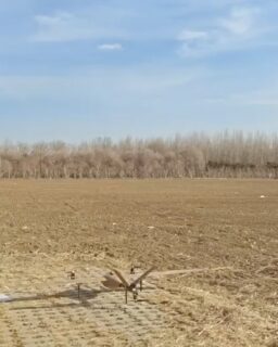 A research team in Tianjin, China, has successfully flown a drone built partly from bamboo-based composite materials. The aircraft represents what researchers describe as the first fixed-wing unmanned aerial vehicle (UAV) to use bamboo composites at this scale.

The International Centre for Bamboo and Rattan developed the drone together with Beihang University’s Ningbo Innovation Research Institute and Long Bamboo Technology Group. Their goal was to combine high-performance engineering with environmentally friendly materials.

More than 25 percent of the drone’s structure consists of bamboo-based composites. The aircraft has a wingspan of over 2.5 metres and weighs about 7 kilograms. It can take off and land vertically, cruise at speeds above 100 km/h, and fly for more than one hour.

Read more at MaterialDistrict.com

#MaterialInspiration #Materials #BambooComposite #BiobasedMaterials #SustainableMaterials #MaterialInnovation #NaturalFibreComposites #CircularDesign #LightweightStructures #DroneTechnology #AdvancedMaterials #MaterialDesign