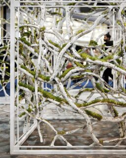 Morphosis by designer @razazahid is an experimental installation that explores the structural and ecological potential of recycled paper waste. By transforming discarded paper into papercrete—a lightweight composite material—the project demonstrates how low-value waste streams can become spatial building elements with both functional and environmental relevance.
The installation occupies a 5 × 5 × 5 metre volume and shows how paper-based materials can move beyond decorative applications. By combining shredded paper with binders, Zahid creates a mouldable yet stable material inspired by traditional paper-mâché. A powder-coated metal frame supports hand-formed branches, which together create a porous, lattice-like enclosure. As a result, the structure recalls the form and logic of a tree.
Read more at MaterialDistrict.com
#MaterialInspiration #Materials #Papercrete #RecycledPaper #MaterialInnovation #CircularDesign #BiobasedMaterials #SustainableDesign #ArchitectureMaterials #InteriorDesign #BioIntegration #LivingMaterials