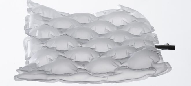 Inflatable Structures Inspired by Nature: Adaptive Design with Air