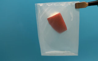 Leaf-Inspired Bioplastic Promises Strong, Fully Biodegradable Packaging