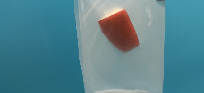 Leaf-Inspired Bioplastic Promises Strong, Fully Biodegradable Packaging