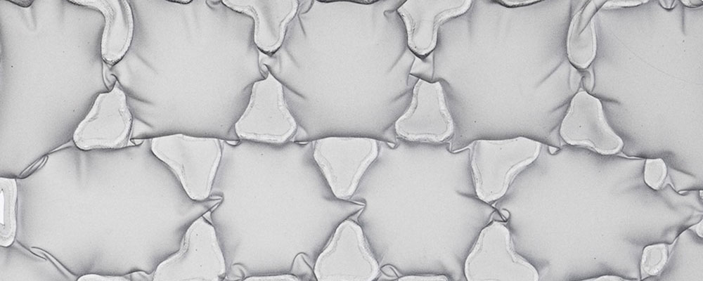 Inflatable Structures Inspired by Nature: Adaptive Design with Air