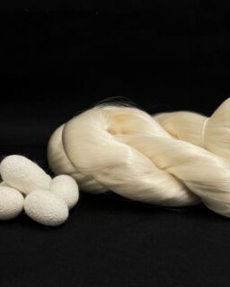 Researchers from @tuftsuniversity, @imperialcollege and @uofmichigan have developed a new way to transform silk into a high-performance solid material. The process preserves the natural strength of silk fibres while avoiding synthetic additives and energy-intensive chemical treatments. The resulting material approaches the tensile toughness of Kevlar and outperforms natural materials such as wood and bone.

Published in Nature Sustainability, the research introduces a simpler manufacturing method that keeps the original silk fibre structure intact. Conventional silk processing often dissolves the fibres into proteins before reshaping them into new forms. This step weakens the material and requires large amounts of water, chemicals and energy. The new method avoids this stage entirely.

Read more at MaterialDistrict.com

#MaterialInspiration #Materials #FusedSilk #SilkInnovation #BiobasedMaterials #MaterialInnovation #SustainableMaterials #AdvancedMaterials #CircularDesign #Biofabrication #LightweightMaterials #FutureMaterials #MaterialDesign #NatureInspiredDesign #CompositeMaterials #SustainableDesign #IndustrialDesign