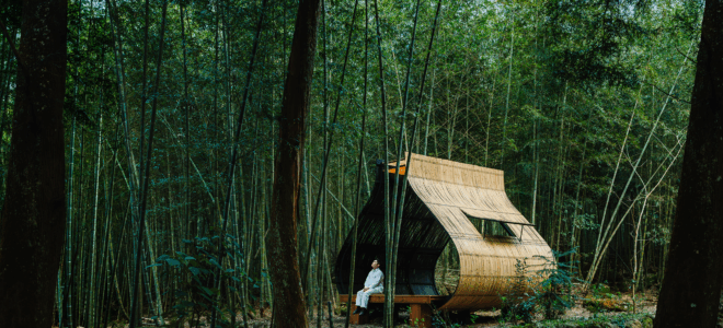 Bamboo Cabin Plan: A Sticky Rice Dumpling in the Forest