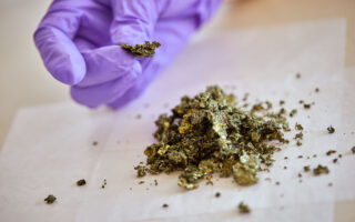 Conductive Plastics: A New Frontier in Organic Electronics