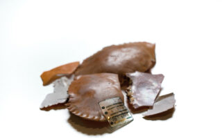 From Seafood Waste to Sustainable Wearable Health Sensors