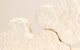 MYMORI: Toys Made from Mycelium