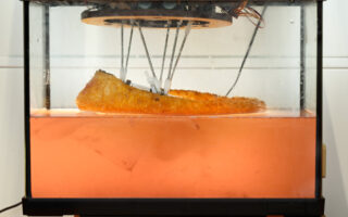 Growing the Future: Living Footwear from Kombucha