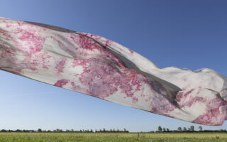 What not to miss at Dutch Design Week 2025: Biobased Materials