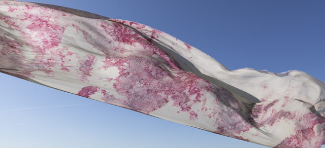 What not to miss at Dutch Design Week 2025: Biobased Materials