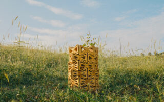 3D Printed Earthen Shelter Nurtures Young Trees Through Microclimate Design