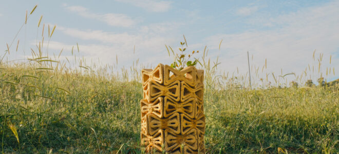 3D Printed Earthen Shelter Nurtures Young Trees Through Microclimate Design