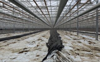 From Waste Stream to Resource: Giving Horticultural Film a Second Life