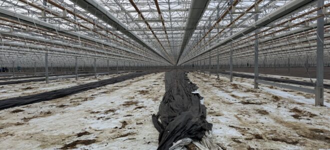 From Waste Stream to Resource: Giving Horticultural Film a Second Life