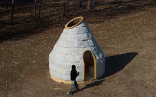 Mycelial Hut: Growing Architecture with Fungal Materials