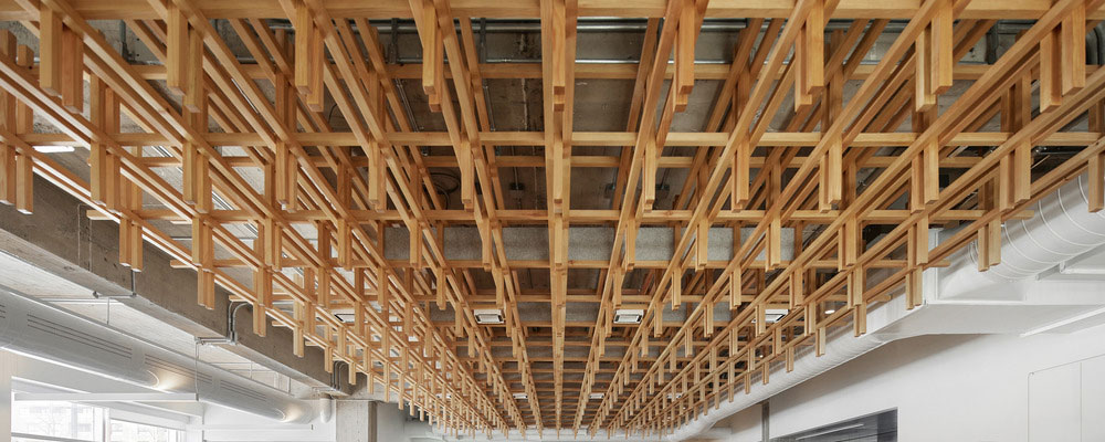 Timber, Light and Well-being: A Sustainable Office Transformation in Montreal