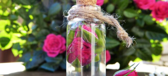 Biomass-Based Smart Adhesive Enables Reversible and Circular Bonding