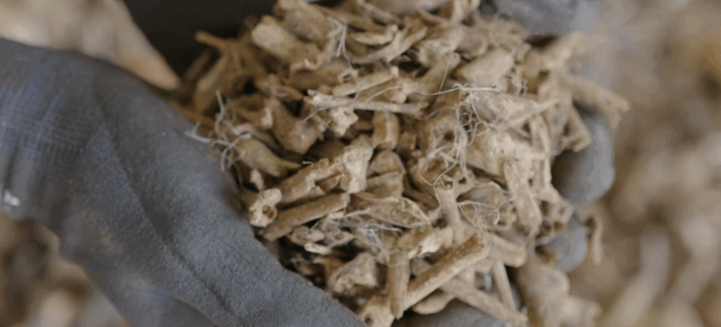 Scaling Up Fibre-Based Bio-Materials for the Built Environment