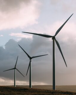 As wind energy continues to expand, a less visible challenge is growing at the same time: what happens to wind turbine blades at the end of their life? Made from extremely durable composite materials, these blades are difficult to recycle. A Dutch research initiative by Windesheim University of Applied Sciences has now developed a scalable solution that turns discarded wind turbine blades into new infrastructure products, offering new opportunities for circular design in the built environment.

Read more at MaterialDistrict.com

@windesheiminternational

#MaterialInspiration #Materials #RecycledMaterials #CircularDesign #CompositeMaterials #MaterialInnovation #SustainableInfrastructure #CircularEconomy #WindEnergy #BuiltEnvironment #InfrastructureDesign #LowCarbonMaterials