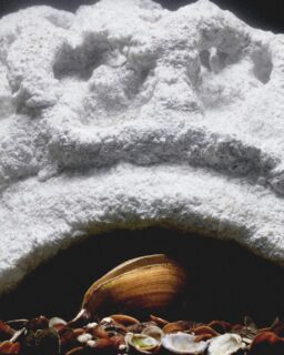 Muss-Tell is a circular, bioregional design project by material designer and researcher @ertemdamla, developed as part of her MA Material Futures at Central Saint Martins. The project addresses an often-overlooked environmental issue: noise pollution in freshwater ecosystems. More specifically, it explores how underwater sound affects native mussel species and how material design can help reduce this impact.

Read more at MaterialDistrict.com

#MaterialInspiration #Materials #Biomaterials #CircularDesign #AcousticDesign #BiodegradableMaterials #MaterialInnovation #RegenerativeDesign #EcologicalDesign #NatureBasedSolutions #SustainableMaterials #BeyondHumanDesign