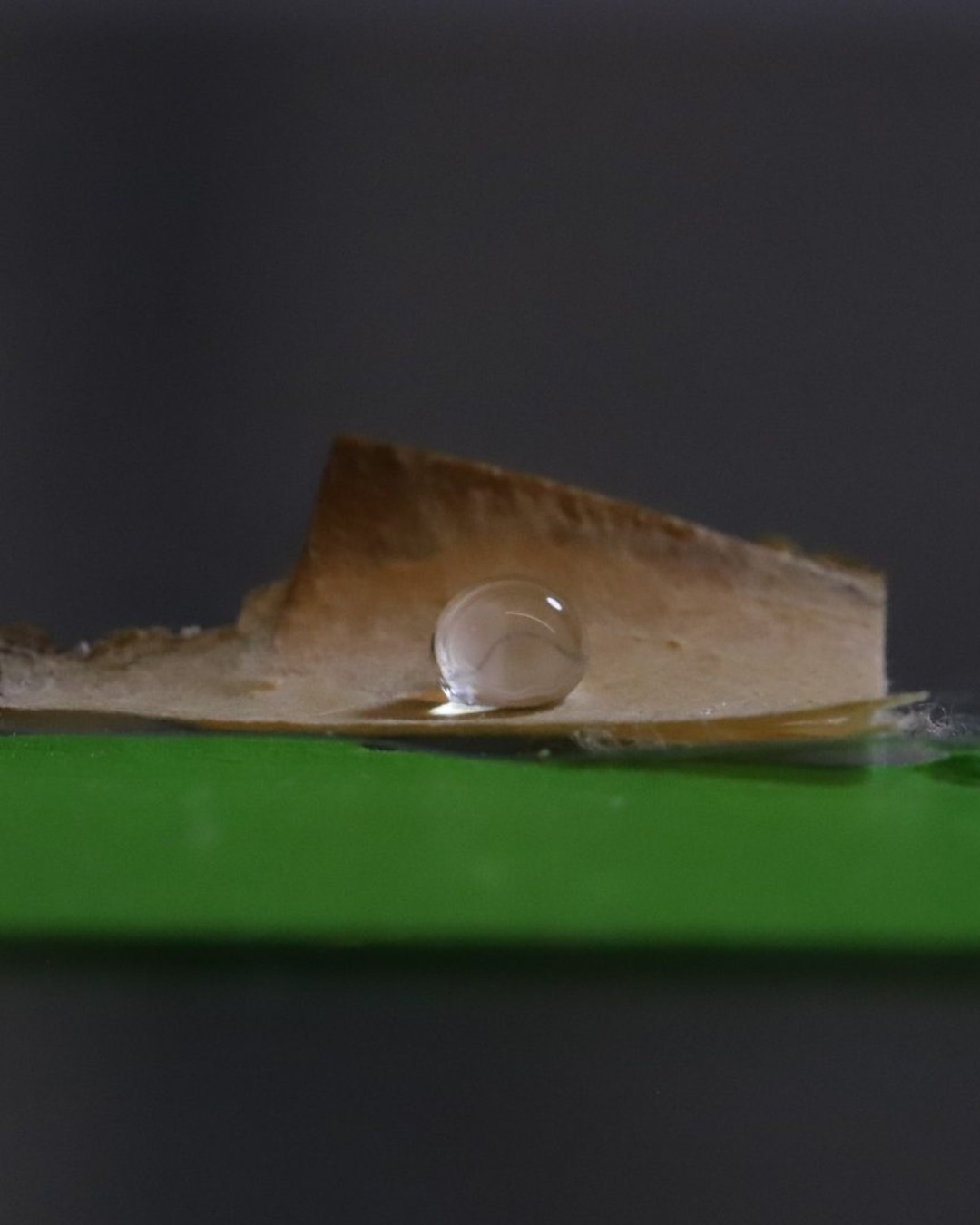 Researchers at the @university.of.maine have developed a fully bio-based food packaging material made from mycelium and cellulose nanofibrils (CNFs). The material offers a plastic-free alternative for food applications. It responds to growing concerns about the health and environmental impact of plastics.
Recent studies show that more than a quarter of the 16,000 chemicals used in plastics may pose risks to human health. At the same time, the United Nations estimates that 19–23 million tonnes of plastic enter rivers, lakes and oceans each year. Designers and manufacturers are therefore looking for safer, circular alternatives that maintain performance and convenience.
Read more at MaterialDistrict.com
#MaterialInspiration #Materials #Mycelium #FoodPackaging #BiobasedMaterials #PlasticFree #CelluloseNanofibrils #SustainableDesign #CircularMaterials #PackagingInnovation