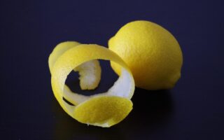 Lemon Peel Waste Turned Into Bio-Based Textile Filaments
