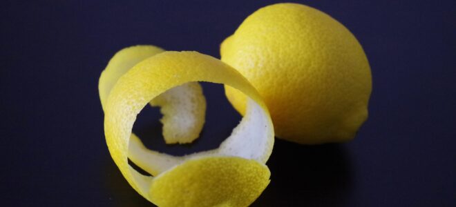 Lemon Peel Waste Turned Into Bio-Based Textile Filaments