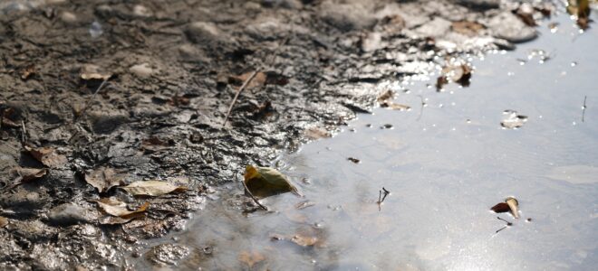 Light-Activated Material Offers A New Route To Cleaner Water