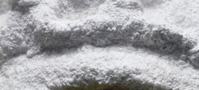 Muss-Tell: Bioregional Acoustic Design Using Invasive Mussel Shells