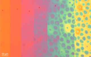 Octopus-Inspired Material Enables Dynamic Colour And Texture Changes