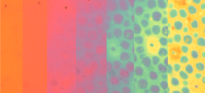 Octopus-Inspired Material Enables Dynamic Colour And Texture Changes