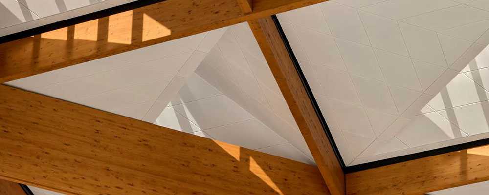 Engineered Timber Roof Defines Material Strategy of Sydney Fish Market