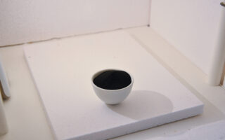 Sustainable Sodium-Ion Batteries Made From Wood Industry By-Products