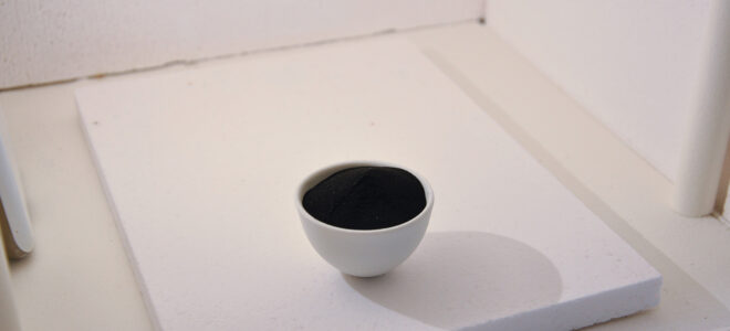 Sustainable Sodium-Ion Batteries Made From Wood Industry By-Products