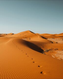 Concrete is one of the most widely used materials in the built environment. Only water is consumed in larger quantities worldwide. Each year, global cement production exceeds four billion tonnes, contributing to roughly eight per cent of global CO₂ emissions. Alongside these emissions, the construction industry faces another growing challenge: a shortage of suitable sand.

Concrete does not work with just any sand. Builders need grains of a specific size and shape, which usually come from crushed rock or riverbeds. Large-scale sand extraction damages ecosystems, alters landscapes, and disrupts water systems. At the same time, vast deserts hold enormous amounts of sand that remain unused because the grains are too fine for conventional concrete. Researchers are now asking whether this so-called useless sand can become a valuable resource.

Read more at MaterialDistrict.com

@ntnu @utokyo_pr

#MaterialInspiration #Materials #DesertSand #SustainableConcrete #MaterialInnovation #BiobasedMaterials #CircularConstruction #LandscapeArchitecture #ArchitectureMaterials