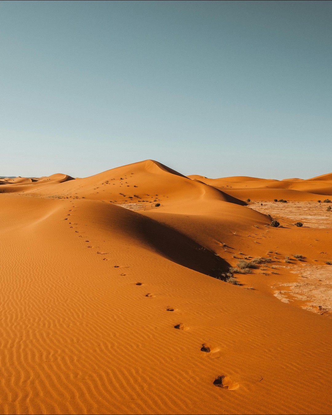 Concrete is one of the most widely used materials in the built environment. Only water is consumed in larger quantities worldwide. Each year, global cement production exceeds four billion tonnes, contributing to roughly eight per cent of global CO₂ emissions. Alongside these emissions, the construction industry faces another growing challenge: a shortage of suitable sand.

Concrete does not work with just any sand. Builders need grains of a specific size and shape, which usually come from crushed rock or riverbeds. Large-scale sand extraction damages ecosystems, alters landscapes, and disrupts water systems. At the same time, vast deserts hold enormous amounts of sand that remain unused because the grains are too fine for conventional concrete. Researchers are now asking whether this so-called useless sand can become a valuable resource.

Read more at MaterialDistrict.com

@ntnu @utokyo_pr

#MaterialInspiration #Materials #DesertSand #SustainableConcrete #MaterialInnovation #BiobasedMaterials #CircularConstruction #LandscapeArchitecture #ArchitectureMaterials
