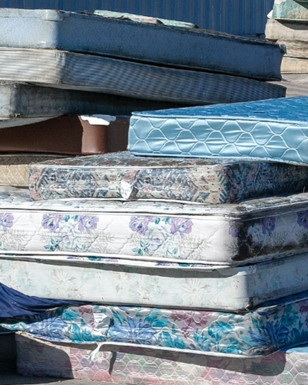 Researchers at @Swinburne University of Technology have developed a bio-composite insulation material made from shredded mattress foam and mycelium. By combining discarded polyurethane foam with a common fungus, the team created a lightweight and solid material suitable for building applications.

Mattresses are notoriously difficult to recycle. Because they are bulky and made from multiple materials, many still end up in landfill. In Australia alone, around 1.8 million mattresses are discarded every year. Of these, approximately 740,000 go to landfill. This equals roughly 22,000 metric tonnes of waste, and each mattress can take up to 120 years to decompose.

Instead of sending this waste to landfill, the researchers use it as a feedstock. In doing so, they demonstrate how biological processes can support circular construction.

Read more at MaterialDistrict.com

#MaterialInspiration #Materials #Mycelium #CircularConstruction #SustainableMaterials #BioBasedMaterials #RecycledFoam #BuildingInsulation #MaterialInnovation #FireResistant #WasteUpcycling #GreenArchitecture