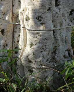 This material merges traditional craftsmanship with advanced technology, using natural, recyclable clay and living moss to create sustainable, functional, and visually captivating surfaces. Bio-receptive 3D printed ceramics by @ious.studio / More at MaterialDistrict.com 

#MaterialoftheDay #Materials #3DPrinting #AdditiveManufacturing #Clay #Moss #Architecture