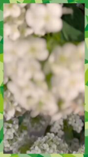 And day 2 of ‘Building MaterialDistrict Utrecht’ is a wrap as well! 😃💪🏼 Today we start the show and you are in for a treat!
 
Across three days you’ll find:
125+ innovators shaping the industry
250 hand-selected material samples
60 forward-thinking speakers
Countless conversations that spark new ideas

Explore biobased breakthroughs, recycled innovations, additive manufacturing, advanced ceramics, timber and more, all under one roof.

If you work with materials, design with materials, or innovate with materials, this is where you need to be.

Join us from 4–6 March and get your ticket today! Link in bio

📍 @werkspoorkathedraal, Utrecht

#MaterialDistrict #NextNow #MaterialInnovation #CircularDesign #MDU2026